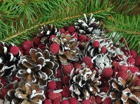 Winter potpourri with cinnamon, pine cones, anise