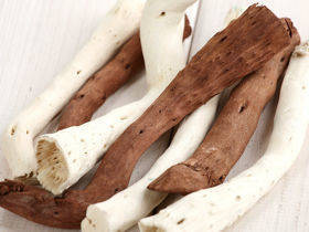 Brown-White Roots 9pcs./pack